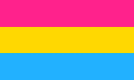 The pansexual pride flag. 3 rows of color, top is a pinkish red, middle is a yellow, and the bottom is a sky blue.